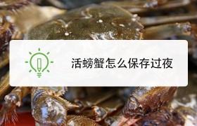 活螃蟹怎么保存 吃不完的活螃蟹怎么保存