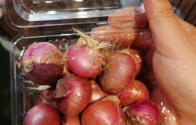 小洋葱 小洋葱种植方法