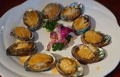 鲍鱼 鲍鱼属于什么类型动物