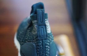 bost boston肠道评分