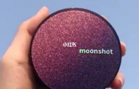 moonshot moonshot翻译