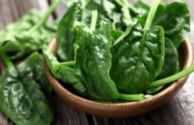 什么人不能吃菠菜 什么人不能吃菠菜的功效与作用