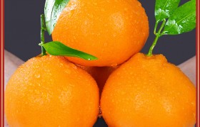 四川耙耙柑 四川耙耙柑的功效与作用