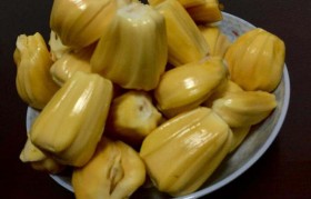 菠萝蜜一斤多少钱 菠萝蜜价格多少钱一斤