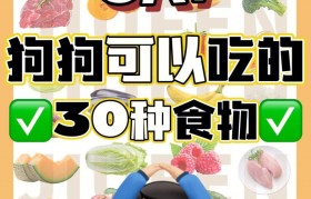 狗狗可以吃木瓜吗 泰迪狗狗可以吃木瓜吗