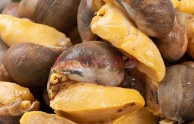 鲍鱼珍珠 鲍鱼珍珠值钱吗