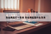 东山再起打一生肖 东山再起指什么生肖