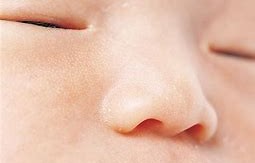 瘦鼻子 瘦鼻子操有用吗?