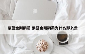紫蓝金刚鹦鹉 紫蓝金刚鹦鹉为什么那么贵