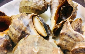 蒸海螺需要多长时间 蒸海螺冷水蒸还是上汽蒸