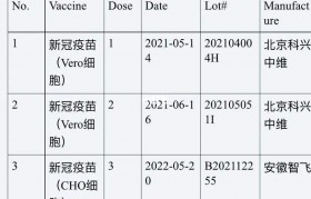 安徽智飞 安徽智飞龙马科技有限公司