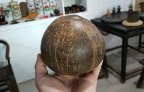 椰子壳 椰子壳是什么垃圾