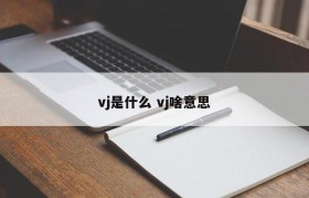 vj是什么 vj啥意思