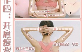 如何练背 如何练背部肌肉 在家