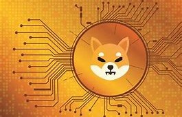 波卡币 波卡币是什么