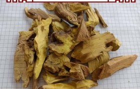 三棵针 三棵针是什么药材