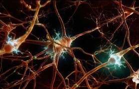 如何修复脑神经 脑神经受损恢复神经最快的方法