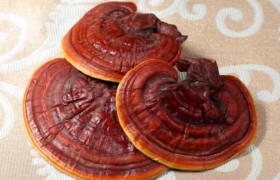 灵芝的用途和功效 石斛的功效与作用适合哪些人