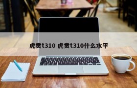 虎贲t310 虎贲t310什么水平