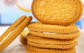 饼干食品 饼干食品生产许可证审查细则