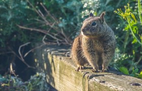 流水账是什么意思 银行卡里的流水账是什么意思