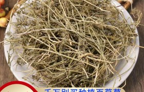 百蕊 百蕊颗粒小孩用量多少
