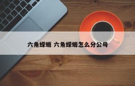 六角蝾螈 六角蝾螈怎么分公母