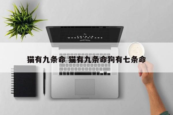猫有九条命 猫有九条命狗有七条命