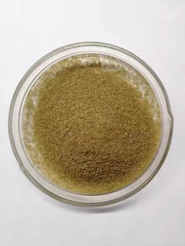 褐藻胶 褐藻胶寡糖