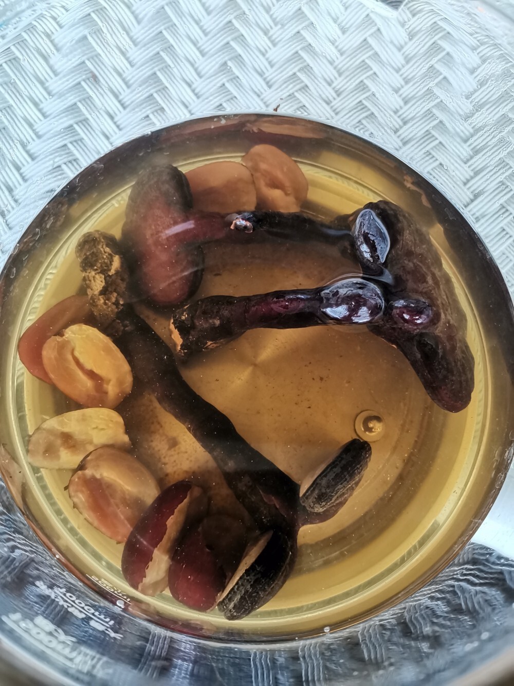 灵芝的用途和功效 石斛的功效与作用适合哪些人