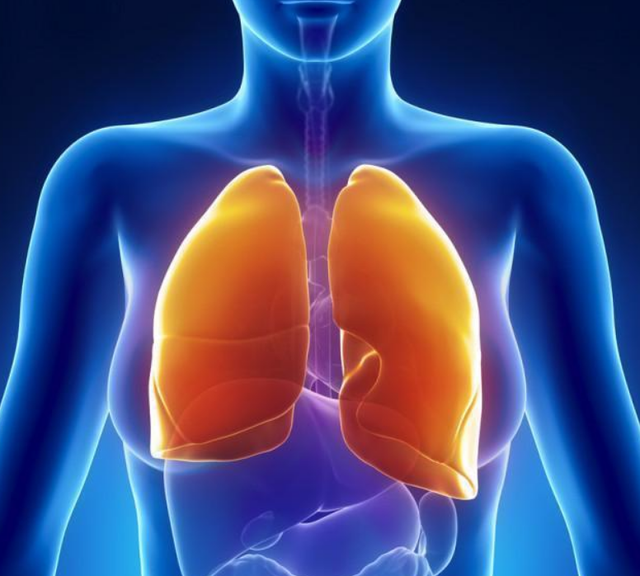 肺部位置 肺部位置有点刺痛什么情况