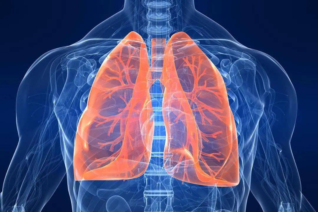 肺部位置 肺部位置有点刺痛什么情况