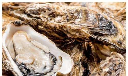 牡蛎是生蚝吗 牡蛎肽对性功能有用吗