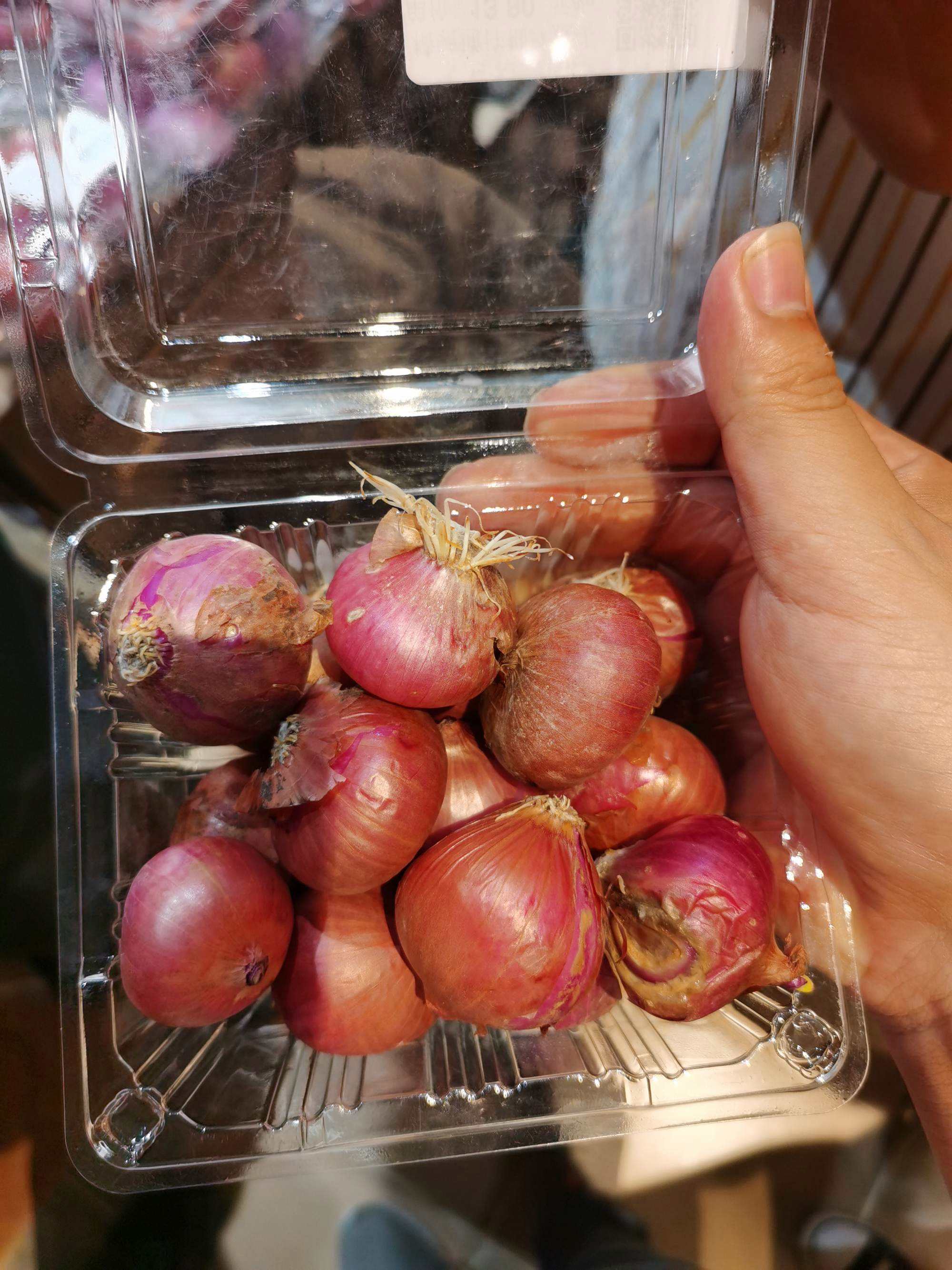 小洋葱 小洋葱种植方法