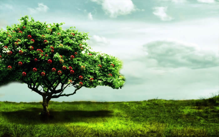 百年树人的上一句 百年树人的上一句是什么?二年级