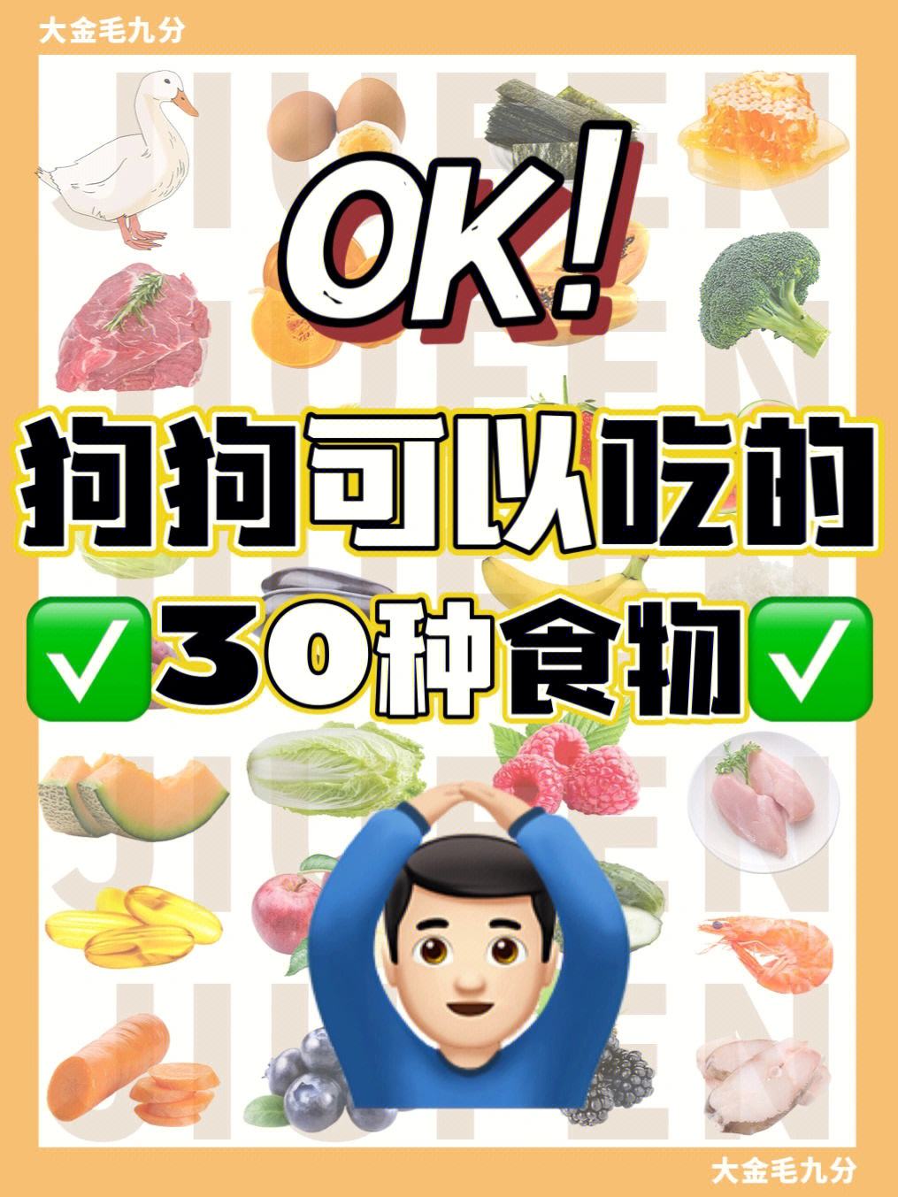 狗狗可以吃木瓜吗 泰迪狗狗可以吃木瓜吗