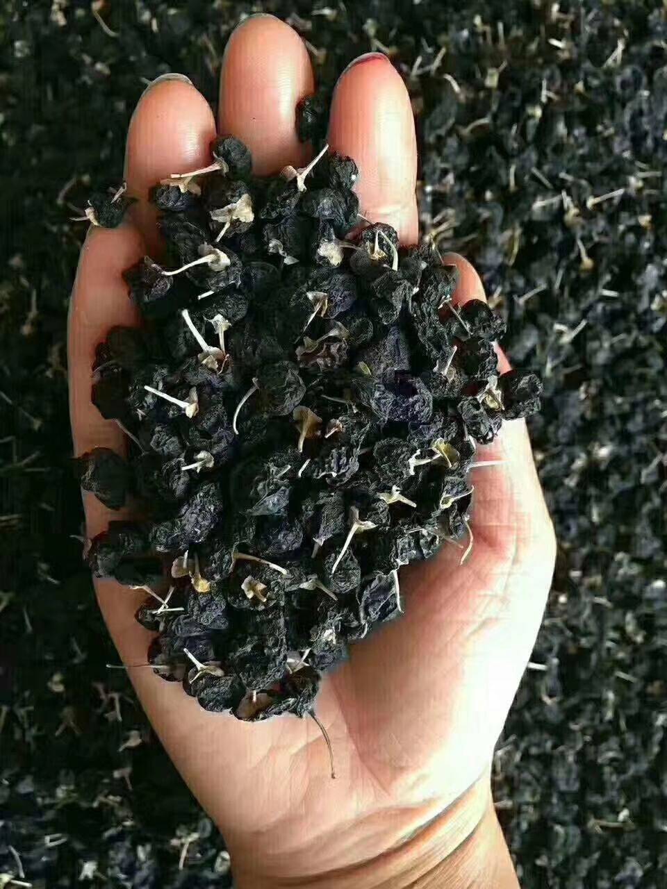 黑枸杞 黑枸杞泡水喝的正确方法