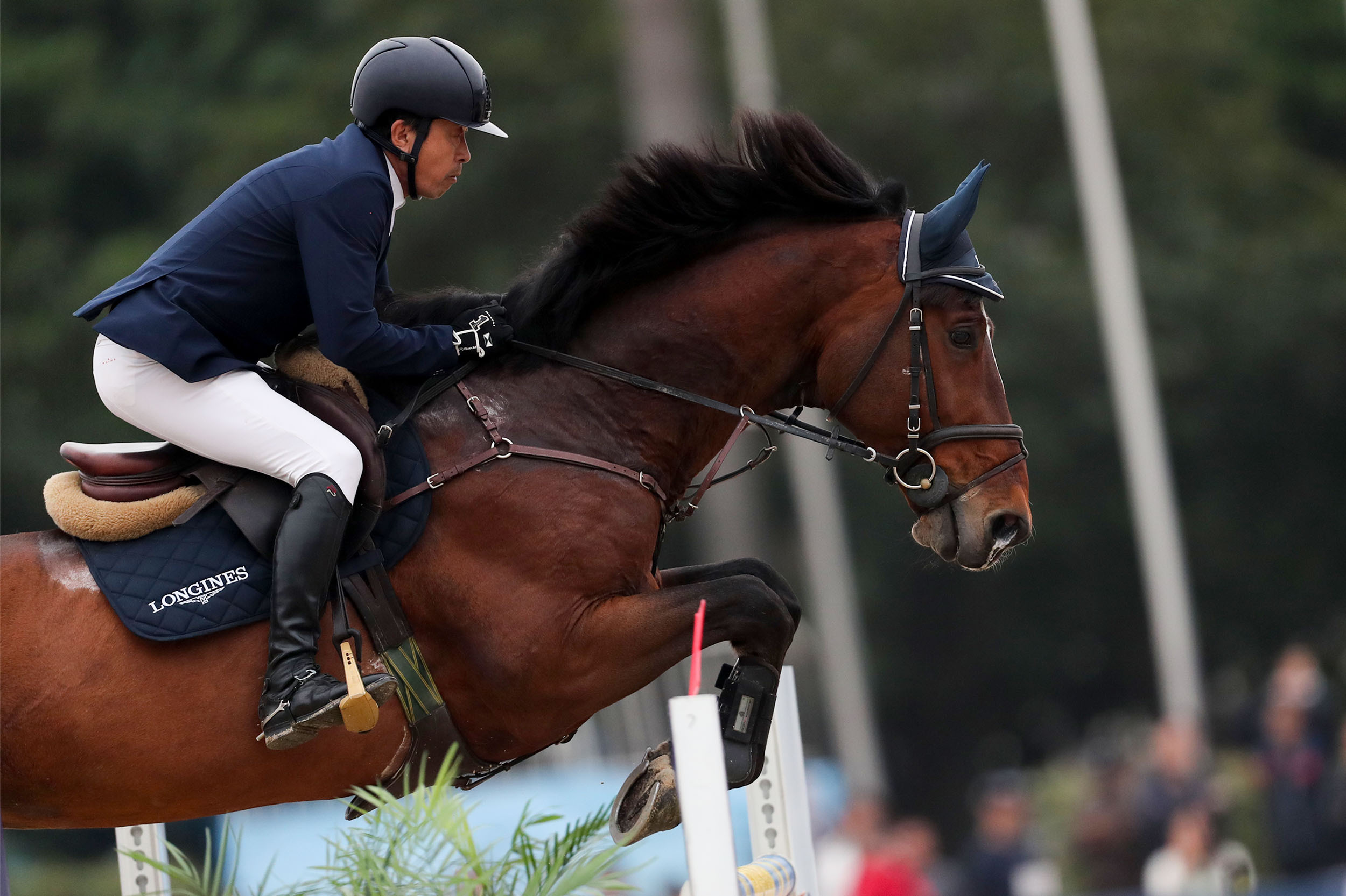 三个马怎么念 三个马怎么念什么意思