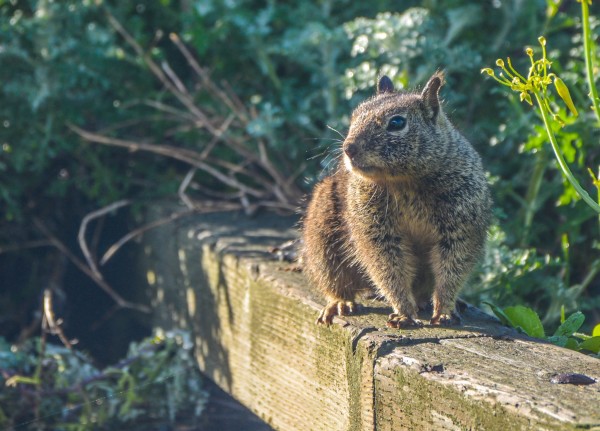 流水账是什么意思 银行卡里的流水账是什么意思