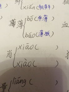 绰的多音字组词 绰的多音字组词2个读音