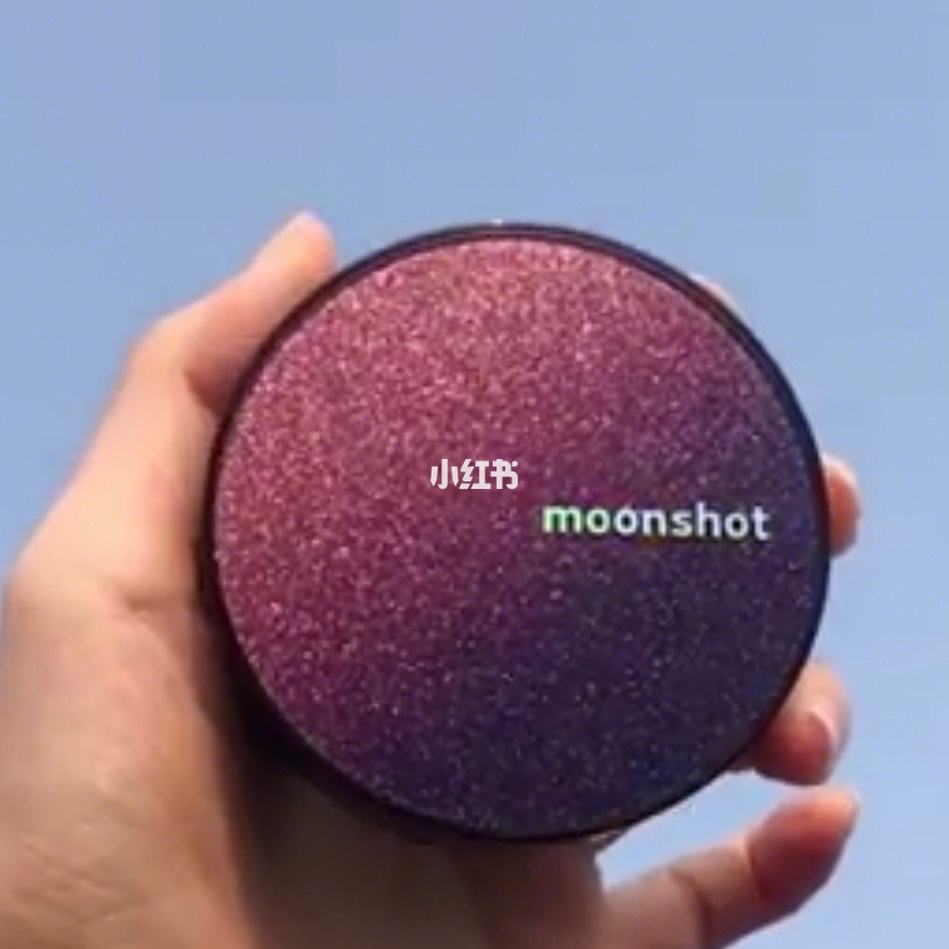 moonshot moonshot翻译