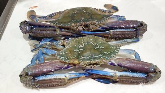 螃蟹种类大全 螃蟹种类大全图解 螃蟹种类大全 螃蟹种类大全图解