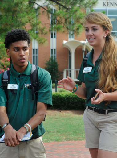 sgreen sgreen浏览器下载安卓