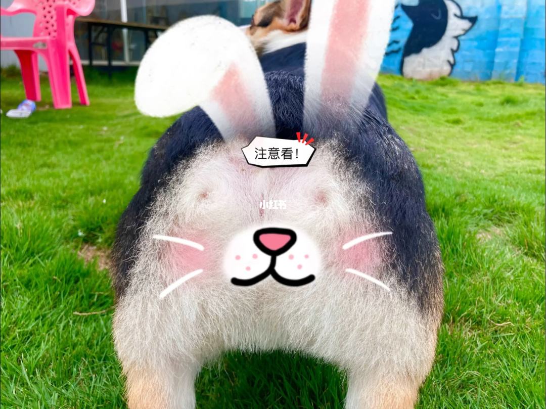 屁股有 屁股有红色胎记