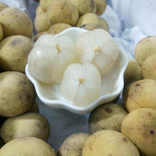 龙贡果 龙宫果的功效与禁忌