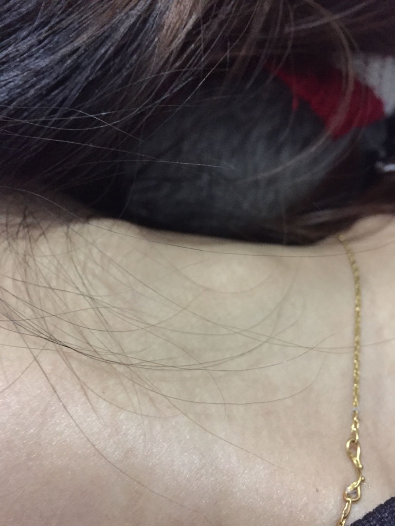 长包 长包里面硬硬的是什么