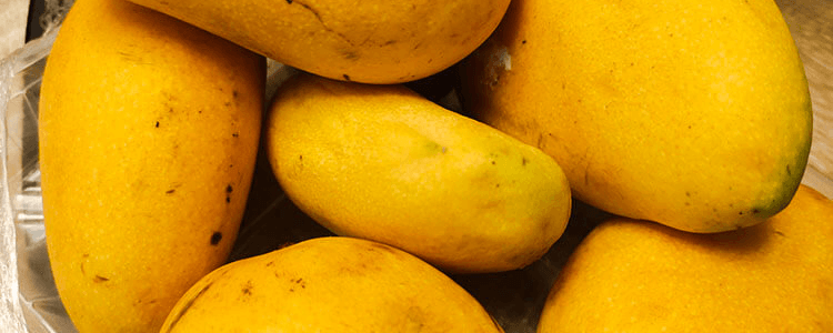 芒果如何催熟 芒果怎么催熟最快方法