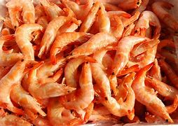 北极甜虾是生的还是熟的 北极甜虾解冻后可以直接吃吗