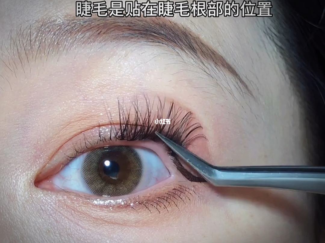 种睫毛是怎么种的 种睫毛是怎么种的图片