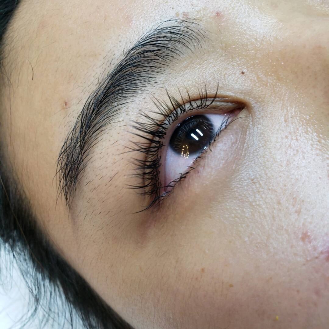 种睫毛是怎么种的 种睫毛是怎么种的图片